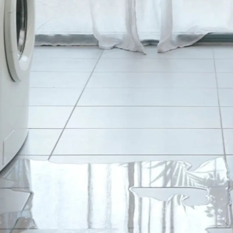 Appliance Leak Cleanup in Morton, IL