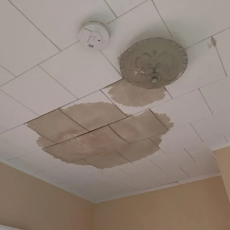 Ceiling Water Damage Repair in Morton, IL