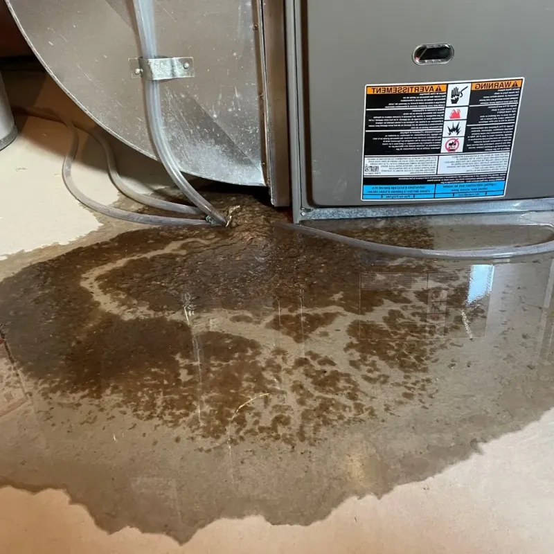 Pipe Burst and Leak Restoration in Morton, IL